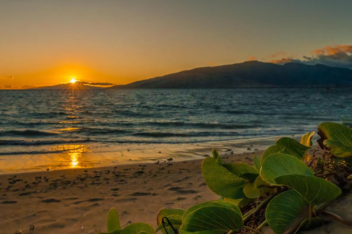 Maui Sunset B-115 Apartment Kihei Luaran gambar